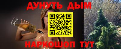сатива Кандалакша
