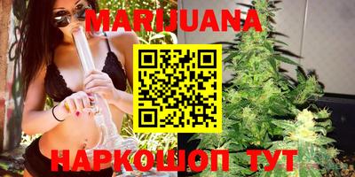 сатива Кимры