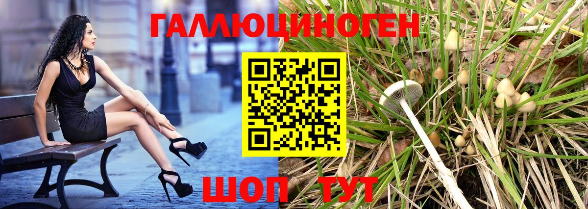 Галлюциногенные грибы Psilocybe Москва