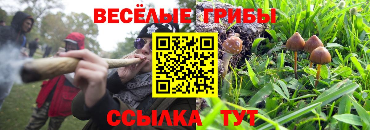 Москва  Галлюциногенные грибы MAGIC MUSHROOMS  что такое наркотик  Галлюциногенные грибы мухоморы  Вход с VPN 